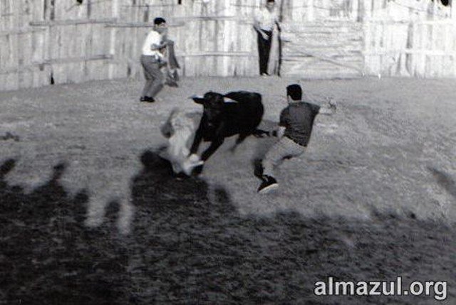 clic para volver a la galer&iacute;a