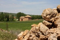 Foto anterior